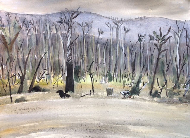 After Flooding, Rain - Louise Foletta - Australian Landscape Artist